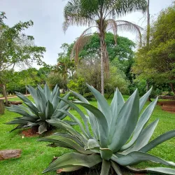Parque das Águas - Betim