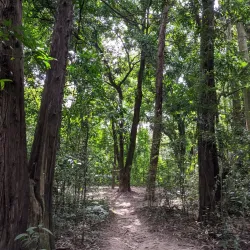 Parque Natural Municipal Felisberto Neves - Betim