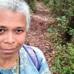 Parque Natural Municipal Felisberto Neves - Betim