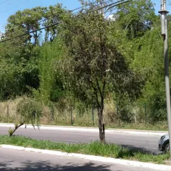 Parque Natural Municipal Felisberto Neves - Betim