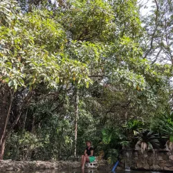 Parque Natural Municipal Renato Azeredo - Betim