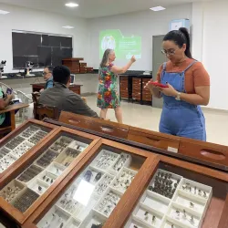 Museu Integrado de Roraima (MIR) - Boa Vista