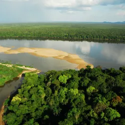Parque Nacional do Viruá - Boa Vista