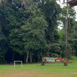 Parque Nacional do Viruá - Boa Vista