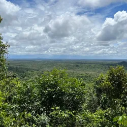 Parque Nacional do Viruá - Boa Vista