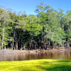 Parque Nacional do Viruá - Boa Vista