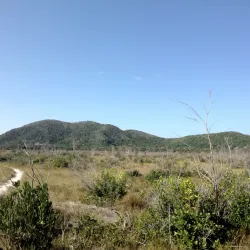Parque Nacional do Viruá - Boa Vista