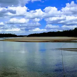 Parque Nacional do Viruá - Boa Vista