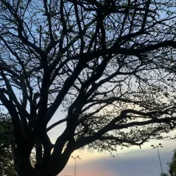 Praça do Centro Cívico - Boa Vista