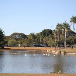 Parque da Cidade Sarah Kubitschek - Brasilia