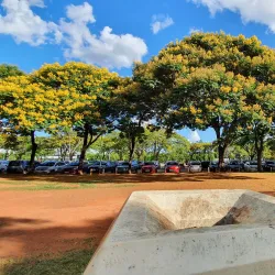 Parque da Cidade Sarah Kubitschek - Brasilia