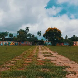 Parque da Cidade Sarah Kubitschek - Brasilia