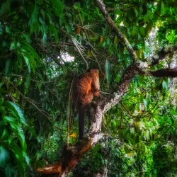 Parque Nacional de Brasília (Água Mineral Park) - Brasilia