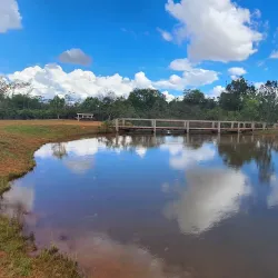 Parque Nacional de Brasília (Água Mineral Park) - Brasilia