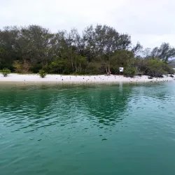 Ilha do Japonês - Cabo Frio