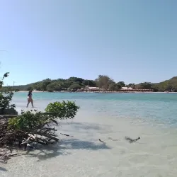 Ilha do Japonês - Cabo Frio