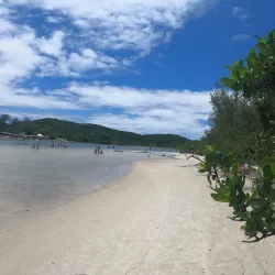 Ilha do Japonês - Cabo Frio