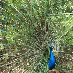 Parque da Gruta - Cachoeira do Sul