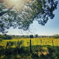 Rio Jacuí - Cachoeira do Sul