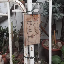 Memorial da Cultura Nordestina - Campina Grande