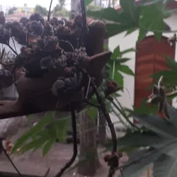 Memorial da Cultura Nordestina - Campina Grande