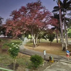 Parque da Criança - Campina Grande
