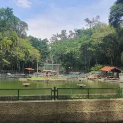 Bosque dos Jequitibás - Campinas