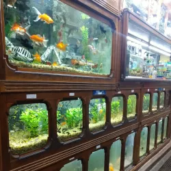 Mercado Municipal de Campinas - Campinas