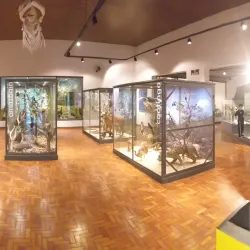 Museu de História Natural de Campinas - Campinas