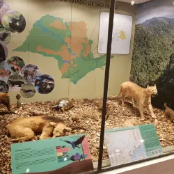 Museu de História Natural de Campinas - Campinas