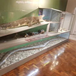 Museu de História Natural de Campinas - Campinas