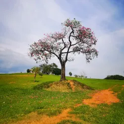 Parque Ecológico Monsenhor Emílio José Salim - Campinas
