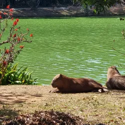 Parque Portugal (Lagoa do Taquaral) - Campinas