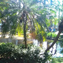 Praça Carlos Gomes - Campinas