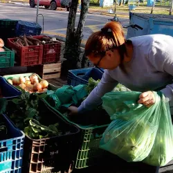 Feira do Produtor - Campo Bom