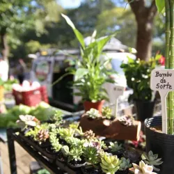 Feira do Produtor - Campo Bom