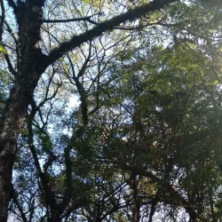 Museu Municipal de Campo Bom - Campo Bom