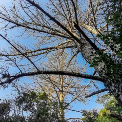 Parque Municipal Henrique Luis Roessler - Campo Bom