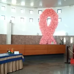 Casa de Cultura de Campo Maior - Campo Maior