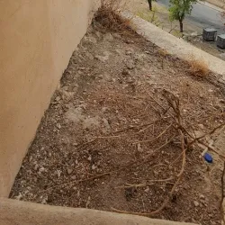 Igreja de São Sebastião - Campo Maior