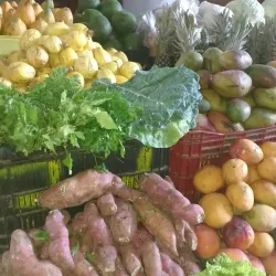 Mercado Público de Campo Maior - Campo Maior