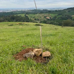 Mirante do Morro do Chapéu - Campo Maior