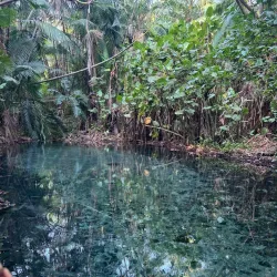 Parque Ecológico de Campo Maior - Campo Maior