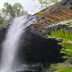 Parque Ecológico de Campo Maior - Campo Maior