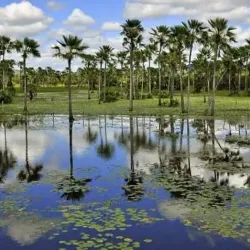Rio Longá - Campo Maior