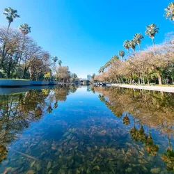 Parque Farroupilha - Campos dos Goytacazes