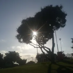 Parque Natural Municipal do Bosque da Lagoa - Campos dos Goytacazes