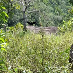 Cachoeira do Rio do Peixe - Canoinhas