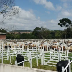 Parque Municipal do Rio do Peixe - Canoinhas