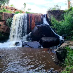 Parque Natural Municipal das Araucárias - Canoinhas